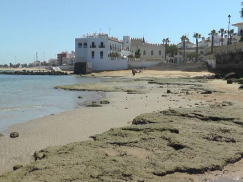 La calidad de las aguas de Chipiona calificadas como excelente al inicio de la temporada estival