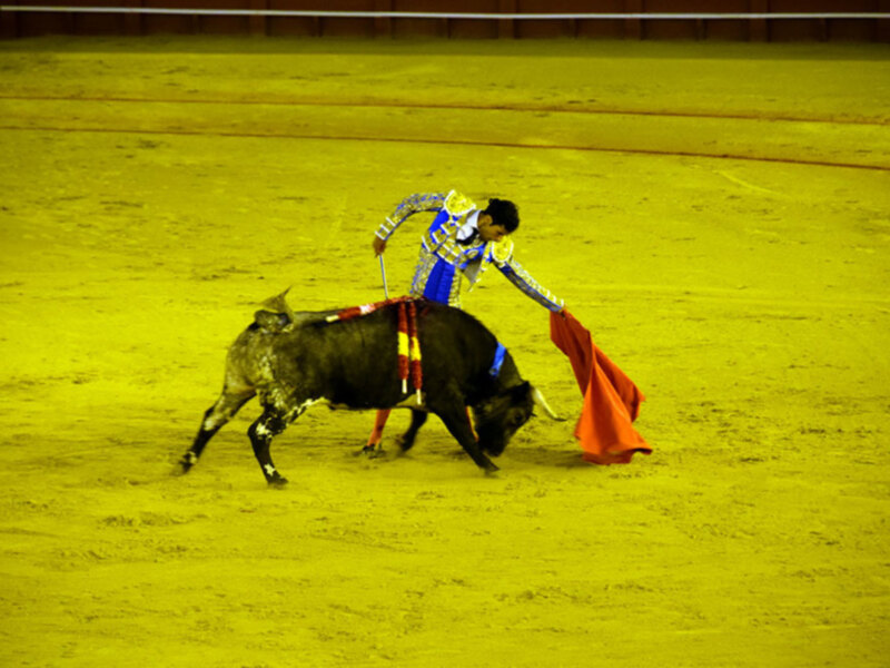 Kevin triunfador de la novillada nocturna en el Real Maestranza.