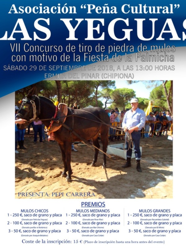 La Asociación Las Yeguas convoca a la afición ecuestre este sábado a su séptimo Concurso de tiro de piedra de mulos