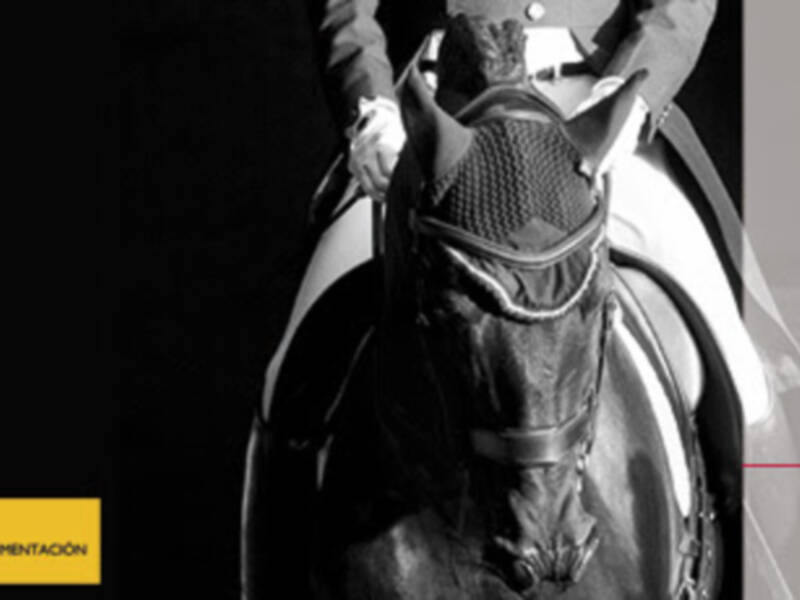 Celebrada la XV Final de las Pruebas de Selección de Caballos Jóvenes de Doma Clásica con una participación de 40 ejemplares