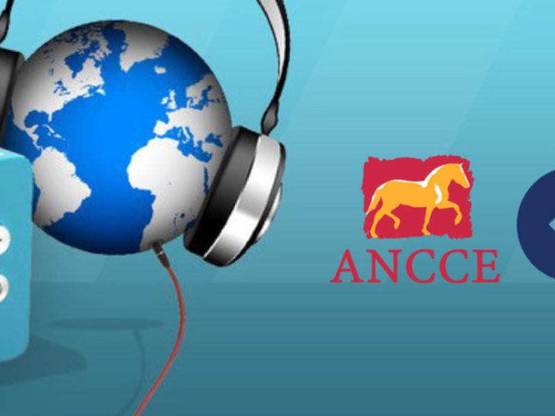 Hoy a las 18:30 horas lanzamos el segundo programa de 'Radio El Caballo Español' en Cope Más Sevilla (105.8 FM)