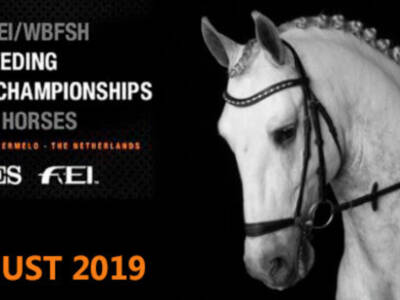 Condiciones de selección para el Campeonato del Mundo de Caballos Jóvenes de Doma Clásica 2019