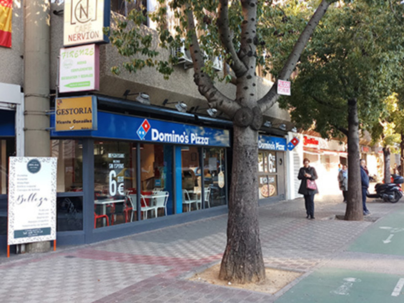 Vandalismo en los árboles de Sevilla