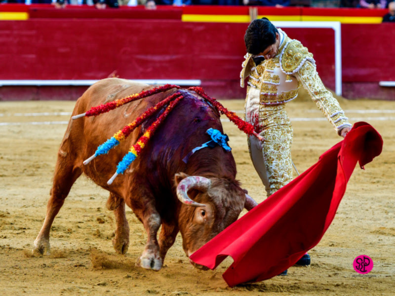 Pablo Aguado deja su sello y corta oreja