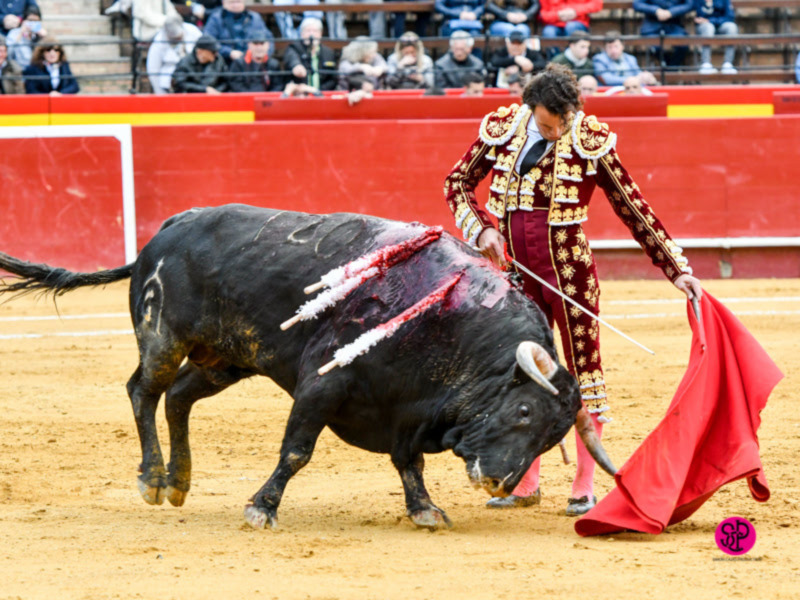 Finito corta una oreja en el cierre de Fallas ante un buen encierro de Fuente Ymbro