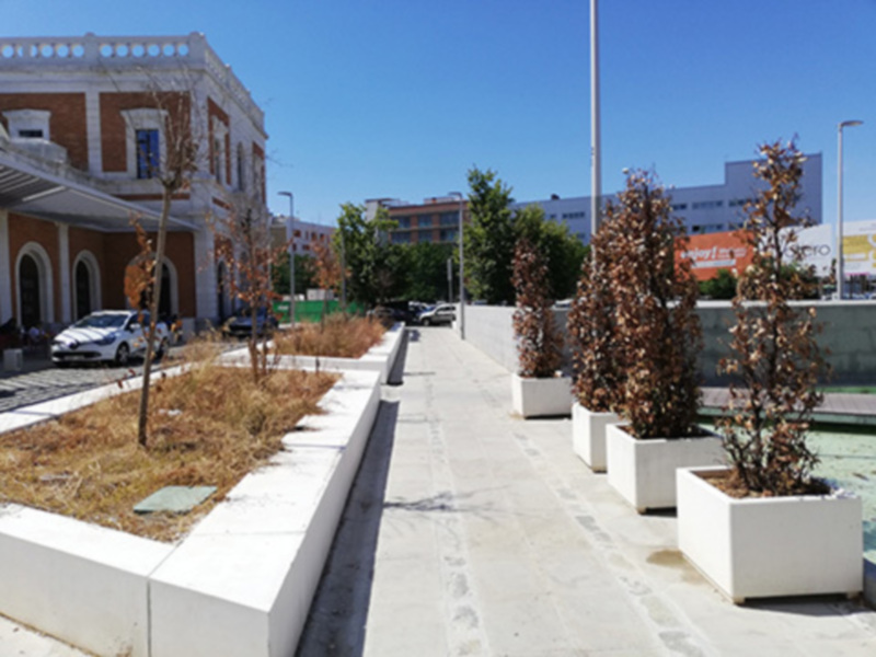 Los parques y jardines de Sevilla la imagen de la ciudad.