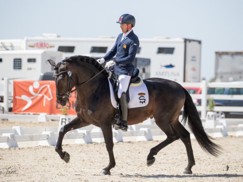 Celebrada la XVI Final de las Pruebas de Selección de Caballos Jóvenes de Doma Clásica con una participación de 67 ejemplares
