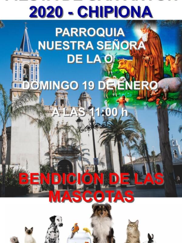 La plaza Juan Carlos I acoge el próximo domingo la Fiesta de San Antón en la que se bendecirán a las mascotas