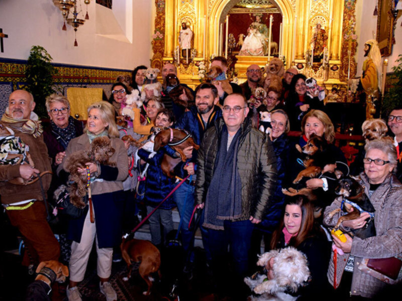 La Hermandad de Gloria de la Divina Pastora de Sta. Marina organizó la tradicional bendición de animales.
