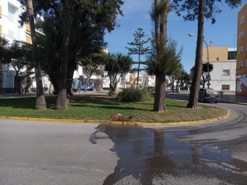 La Delegación de Parques y Jardines desarrolla un plan de puesta a punto de Chipiona para los próximos meses