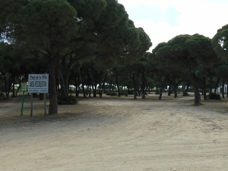 Chipiona se adhiere al proyecto ‘Un Árbol por Europa’ que visibiliza la importancia del desarrollo sostenible en la Unión