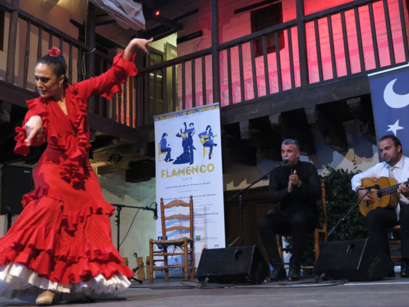 Veinte jóvenes cantaores, bailaores y guitarristas alcanzan la fase final de los Concursos Talento Flamenco 2020