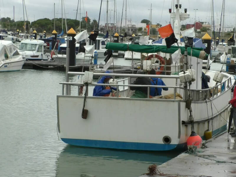 Agricultura y Pesca asesorará en la ayudas a la pesca y el marisqueo que acaban de publicarse