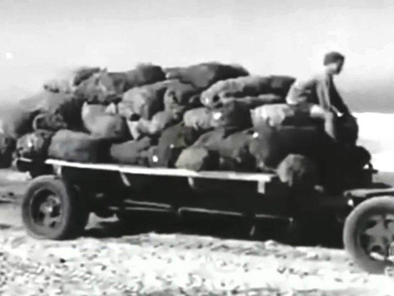Documental "La Guerra olvidada"