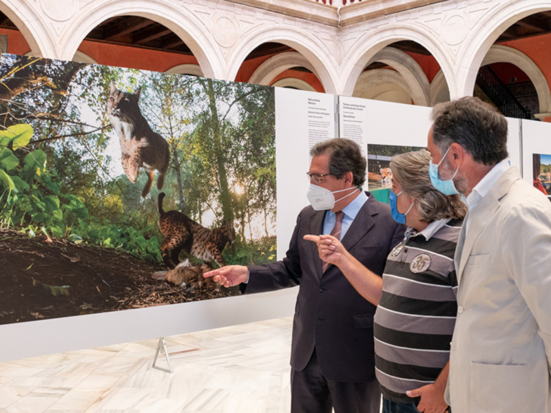 Inauguración Exposición World Press Photo 2020 en la Fundación Cajasol