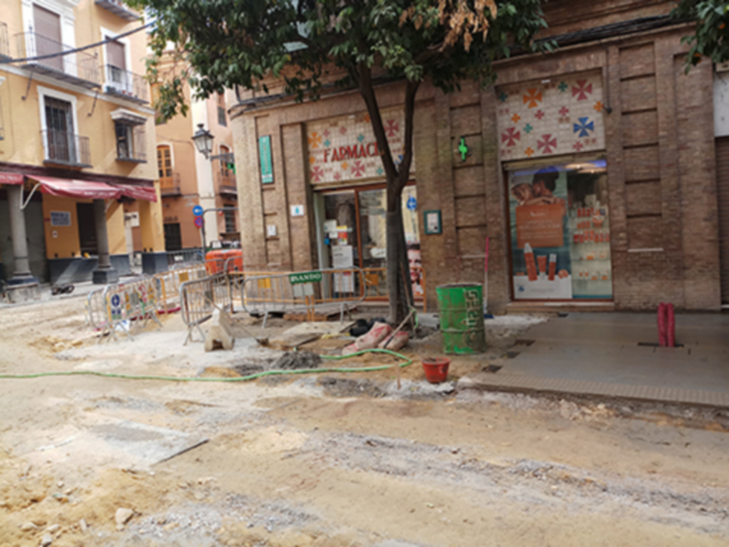 El arbolado de la calle Mateos Gago de Sevilla afectado por las obras.
