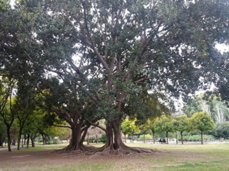 Con su casi 50 años el Parque de Los Príncipes necesita una restauración paisajística y mejoras en la infraestructura.
