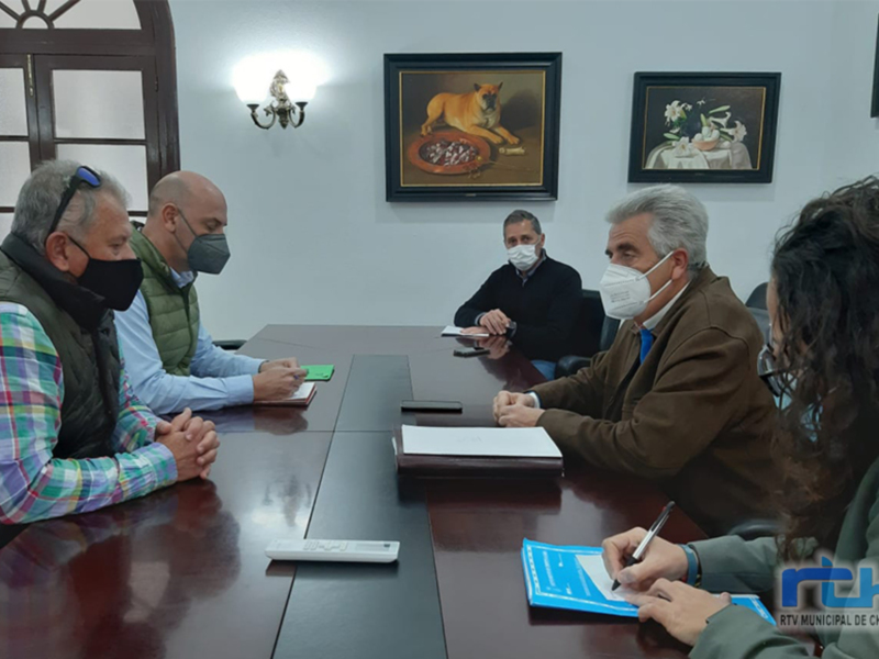 En una sala de reuniones, cinco personas se reúnen alrededor de una mesa redonda. La pared está decorada con cuadros, uno de ellos muestra un león. Todos llevan mascarillas y están concentrados en la conversación. La atmósfera es formal, indicando una reunión de trabajo o política.