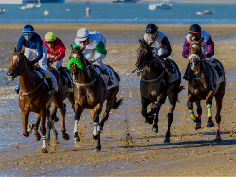 Diputación aporta 62.000 euros a las Carreras de Caballos de Sanlúcar de Barrameda
