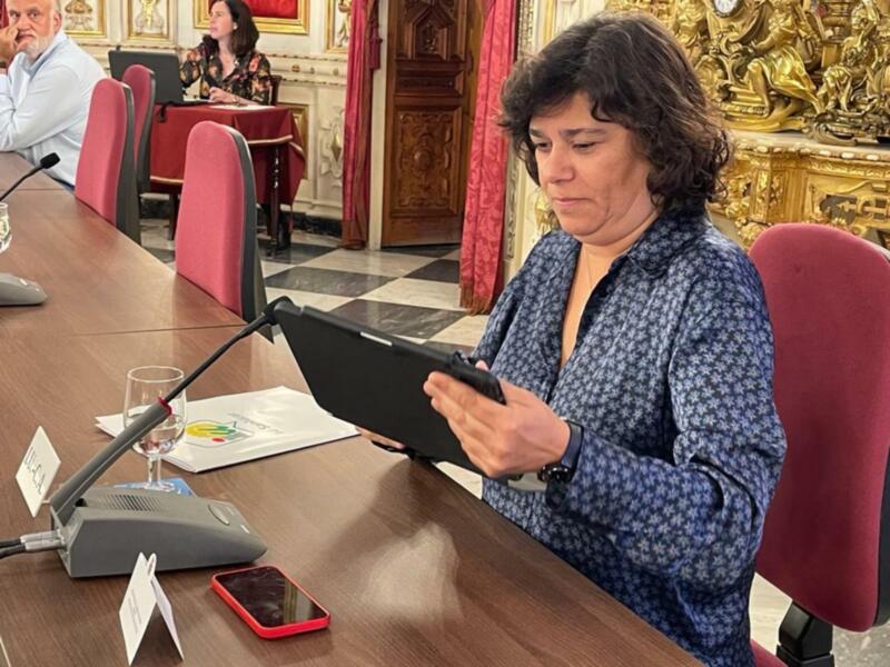IU celebra la unanimidad del Pleno de Diputación en favor del estudio del tren de la Costa Noroeste y del refuerzo ferroviario en la provincia  