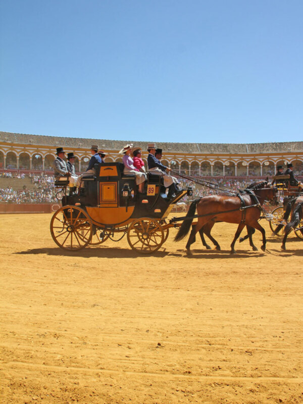 Llegó la Exhibición de Enganches de la Feria de Abril
