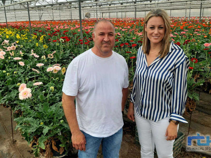 María Naval anuncia que un grupo de 25 agricultores de la zona serán recibidos en el Parlamento Europeo para exponer la situación de la Flor Cortada 