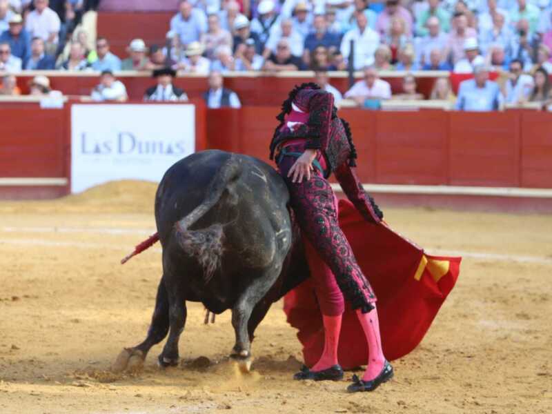  Torería de Morante en tarde cumbre De Justo que indultó a “Esturión” 