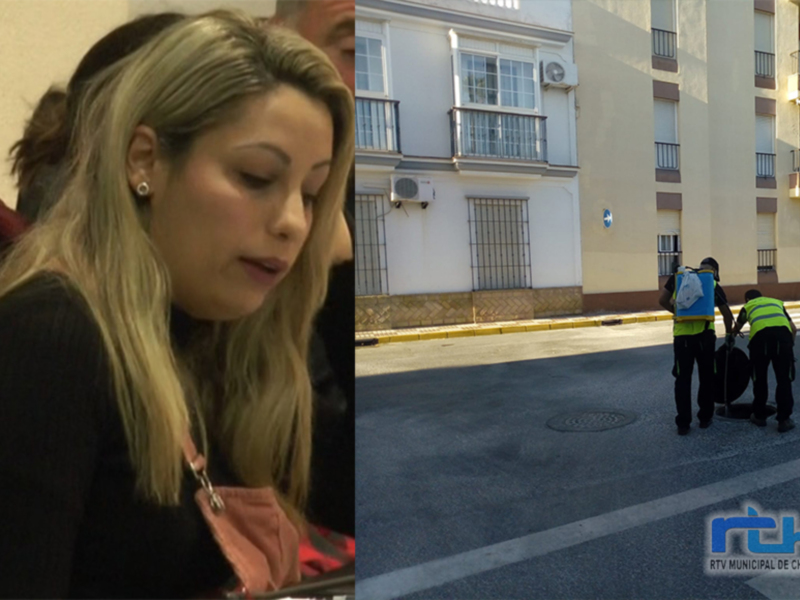 La Delegación de Sanidad informará semanalmente de las actuaciones de desratización, desinfección y desinsectación en Chipiona