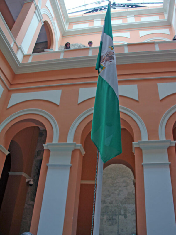 La Bandera andaluza, izada en el Ayuntamiento de Sevilla por el 4D