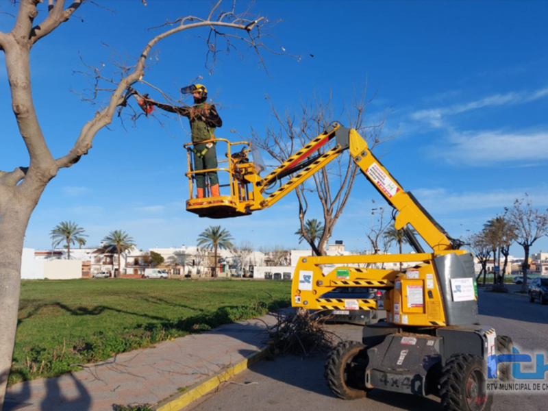 La Diputación de Cádiz subvenciona con 35.000 euros la campaña de poda 2024 en Chipiona 