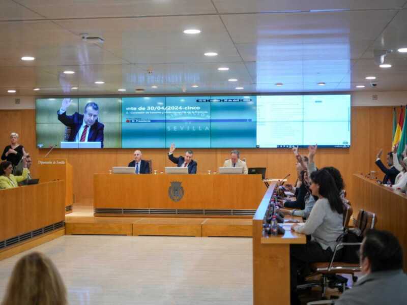 El pleno de la Diputación aprueba por unanimidad la candidatura propuesta para la concesión de honores y distinciones del Día de la Provincia 2024