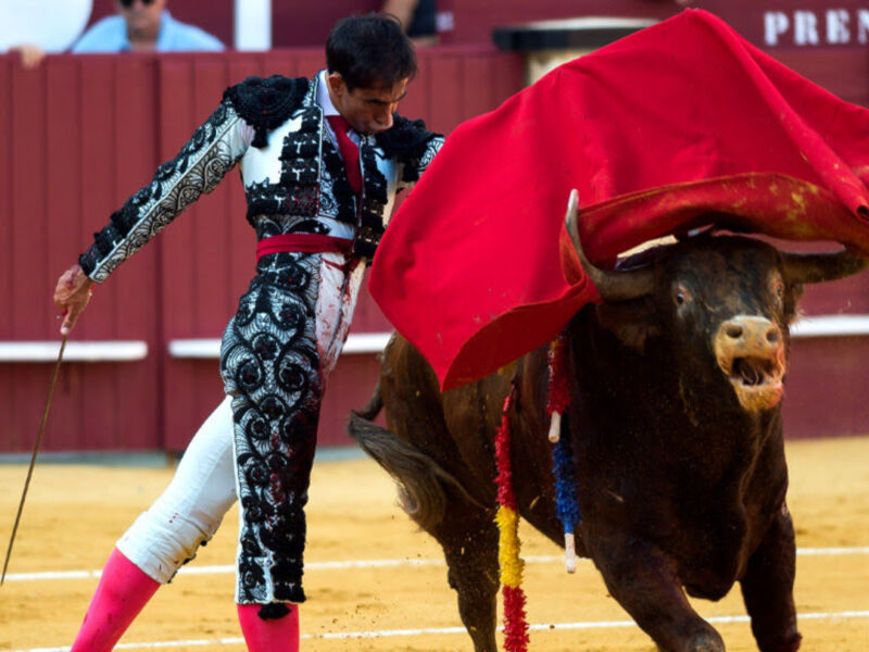 Emilio de Justo y Fortes, mano a mano desde la plaza de toros de la Malagueta