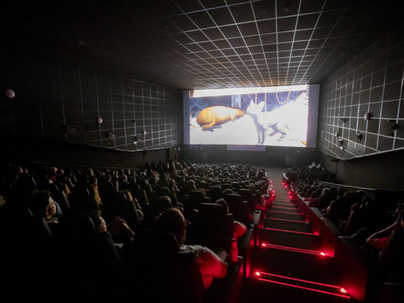 Cine con asientos rojos, iluminación en rojo y una pantalla grande mostrando un personaje animado.