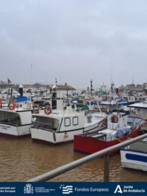 LA FLOTA DE OPP72 DE NUEVO AMARRADA Y AL LÍMITE