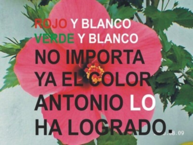 NO IMPORTA YA EL COLOR, AMIGO ANTONIO, TU LO HAS LOGRADO.