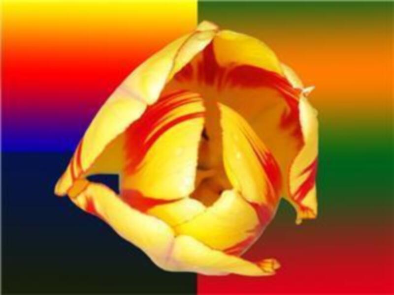 Una figura abstracta en colores brillantes, compuesta por formas geométricas y líneas que forman un círculo. El fondo es una mezcla de colores vivos, desde rojo y amarillo al azul y verde.