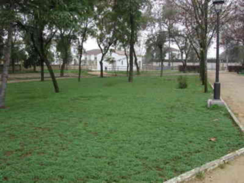 El Parque Municipal acoge este sábado el primer Certamen de Pintura Rápida de Gines 