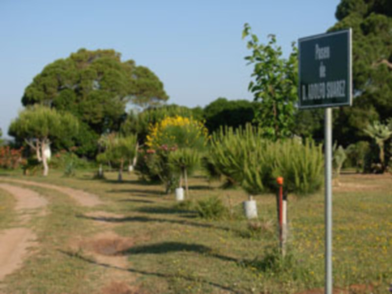 Rotulan en el Pinar de la Villa de Chipiona  el paseo de D. Adolfo Suárez.-