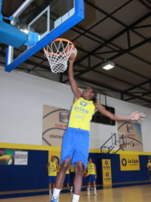A base de triples