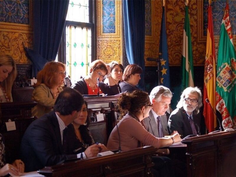 González Cabaña propone la concesión de la Medalla de la Provincia a los 4 militares españoles fallecidos en Haití