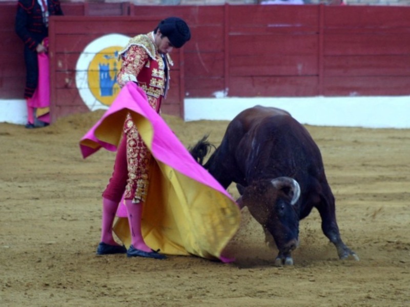Fuertes emociones en la tercera novillada del XI Encuentro Andaluz de Escuelas de Tauromaquia de Baeza
