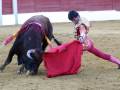 Un torero con un chaleco rojo y una capa de terciopelo blanco lucha contra un toro negro en una plaza de toros. El torero sostiene una capa roja y lucha con el animal en un terreno de arena.