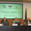 El Tercer Sector presenta sus propuestas para una política de cohesión social 