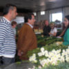 Antonio Peña muestra a agricultores suizos la agricultura chipionera