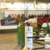 Gutiérrez de Rave máximo vencedor de la primera Jornada del Jumping de Pineda
