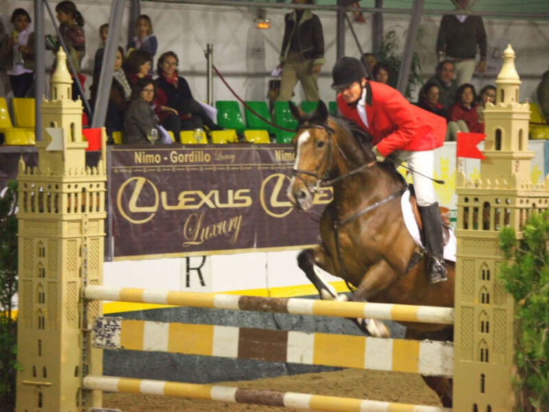 Jesús Torres gana el complicado Trofeo Toyota-Nimo Gordillo de la segunda jornada de Jumping de Pineda