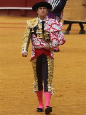 El Juli abrió la puerta del príncipe