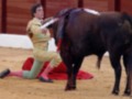 Un torero en traje tradicional de color dorado y verde, con una capa roja, se encuentra en el suelo del ruedo mientras lucha contra un toro negro. El torero usa una espada y un pañuelo rojo en su hombro. El fondo muestra la pared de madera del ruedo y el suelo de arena.