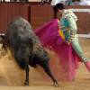 Salvador Vega, a hombros en la primera de Osuna