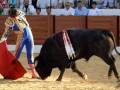 Un torero en acción durante una corrida de toros, con el toro en el centro de la imagen y el público en el fondo.